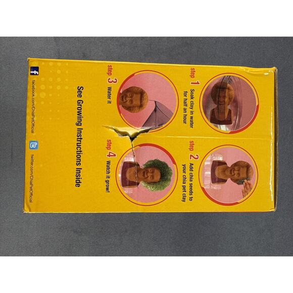 Richard Simmons Chia Pet Planter Complete in Box NEW - Picture 4 of 6